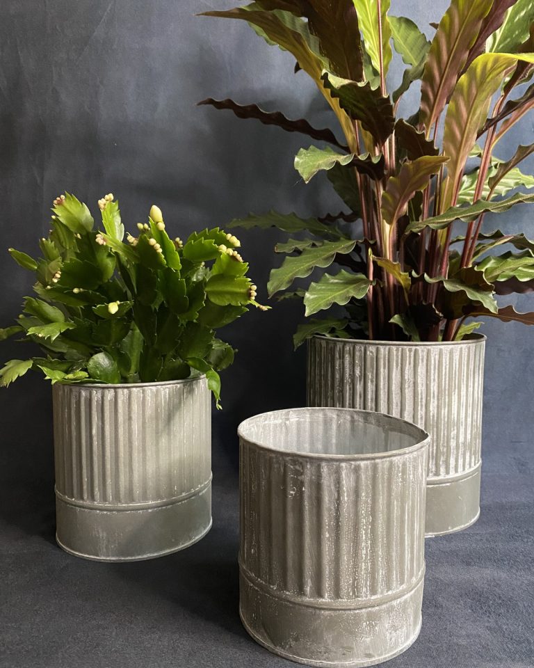 Set of 3 Galvanised Planters - Image 2