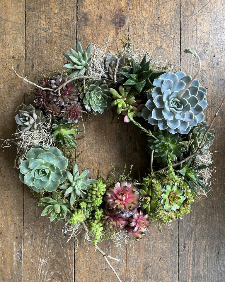 Living Wreath Workshop
